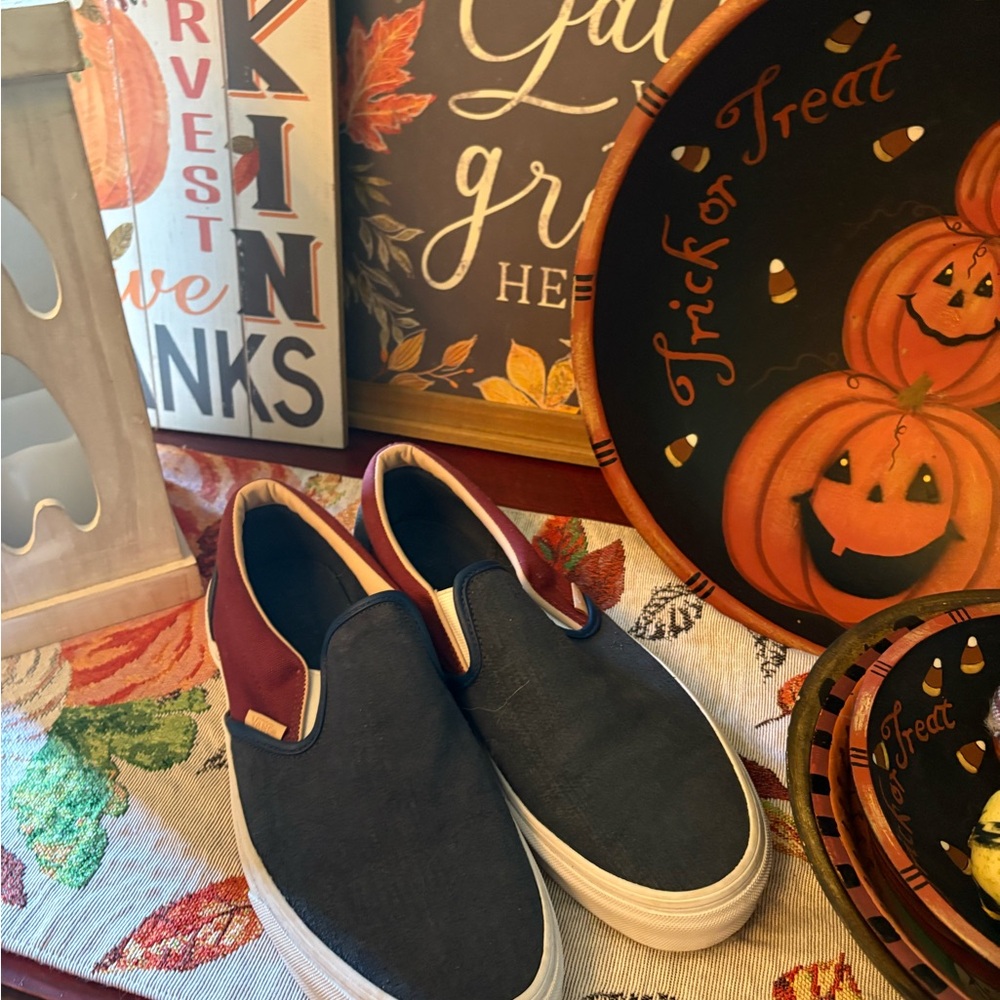 Vans Navy and Burgundy Slip-On Loafers